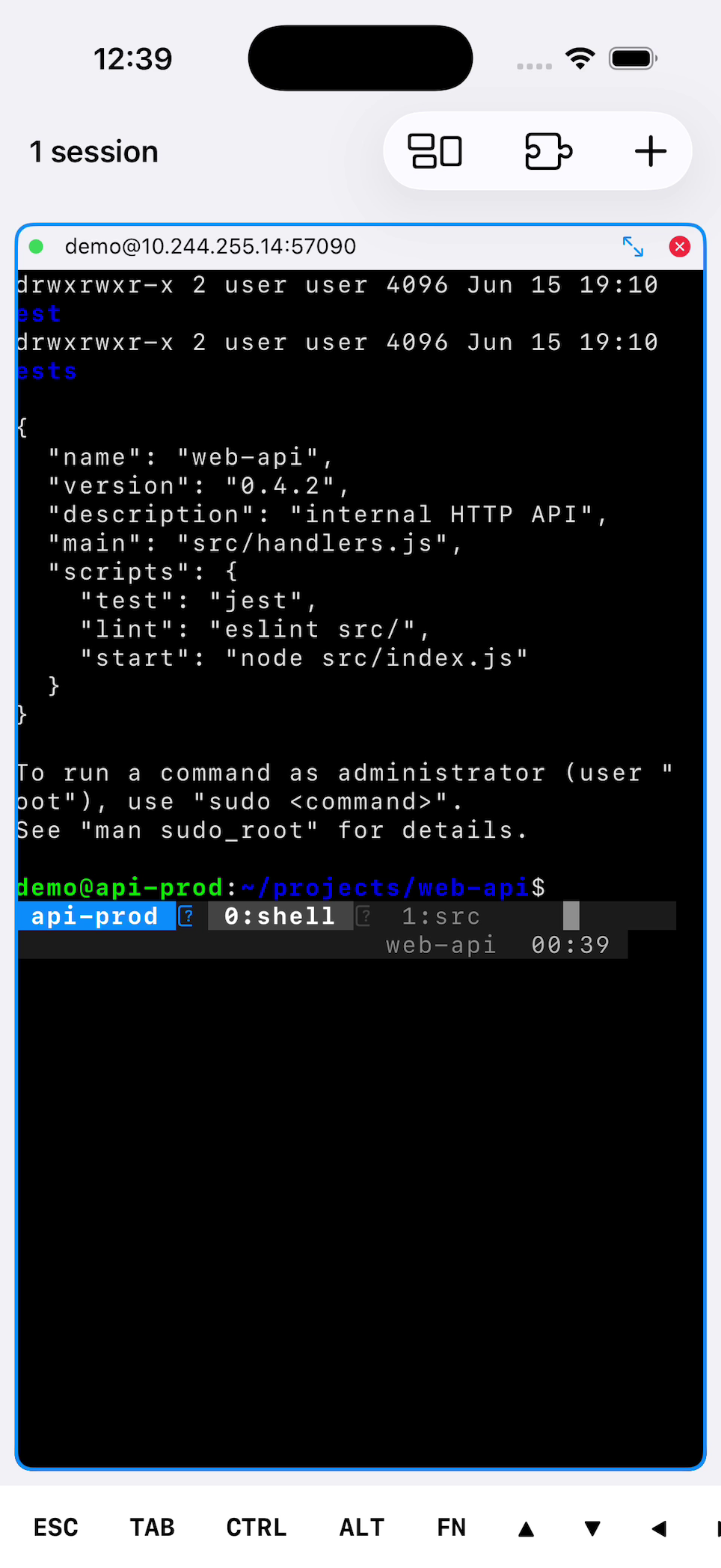 Live SSH terminal on an iPhone with a tmux status bar and the extra key row at the bottom.