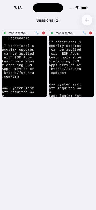 Two SSH sessions side by side in a grid on an iPhone with tap-to-focus panes.
