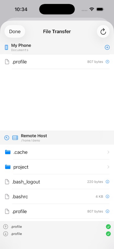 File Transfer on an iPhone with My Phone and Remote Host panes and a completed transfer log.