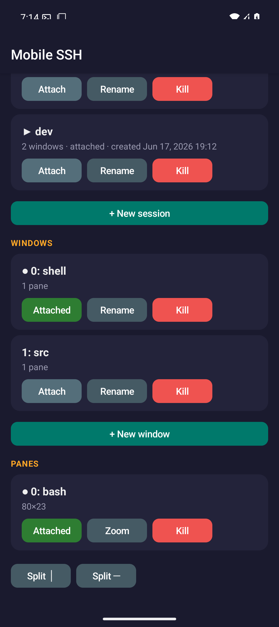 Tmux manager on a phone listing tmux sessions, windows, and panes with buttons to attach, rename, and switch.